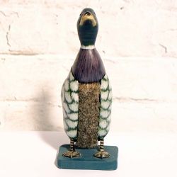 Hand Painted Duck Clothes Brush